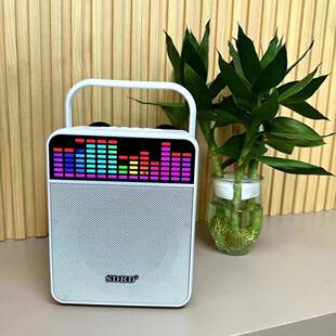 爆款SD512家庭卡拉OK音箱带两个麦克风适用于户外聚会卡拉OK