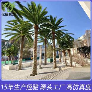 仿真海藻树大型室内外景观仿生海枣树中东加拿利仿真海枣树