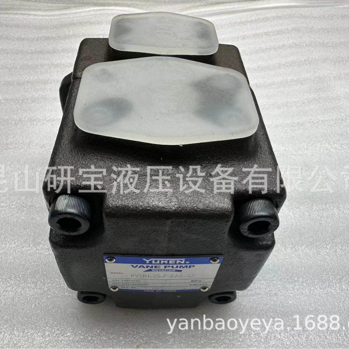 PV2R1-8-F-RAA-43油研叶片泵,标准件/零部件/工业耗材,液压泵,淘宝优惠券,粉丝福利购,淘宝优惠卷