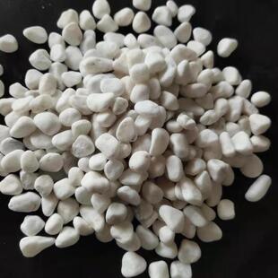 白色鹅卵石天然园林造景用白色鹅卵石子机制白石子水磨园艺白石子