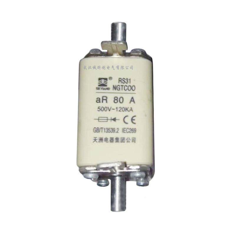 RS31熔NGTC0YQJ040A500V0A635A80A100A集团公司断器