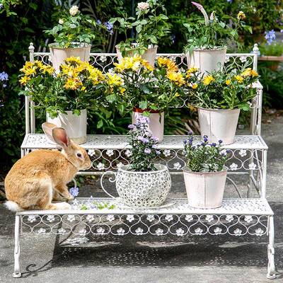 铁层绿菠萝三落地多层花艺架户yy067外院阳台多肉阶梯创意花园置