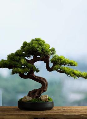 客厅实木迎客松酒盆店桌面关绿植物松树假罗玄汉松景PUZ室内摆件