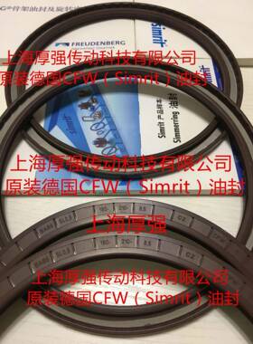德国CFD-W/SiMJWmrit/FEUENBERG油封CZCFWR1BAB6SL0.8180-2108.5