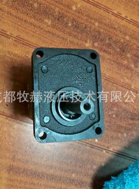 意大利RONIO茨Z02ZCG罗06L48095334D齿轮泵