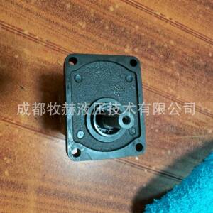 意大利RONIO茨Z02ZCG罗06L48095334D齿轮泵