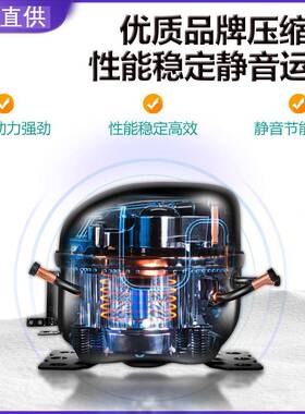 台式阶梯台三轮车夜市烧烤冰炸48852串凉菜展示摆摊柜冷藏点菜移