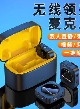 款无线领一夹麦克28252领新风j30私模拖二充电仓智能话筒降噪混响