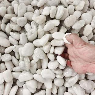 色鹅卵石工程铺路园白林水造160盆栽鱼缸景培装饰阳台造景雨花石