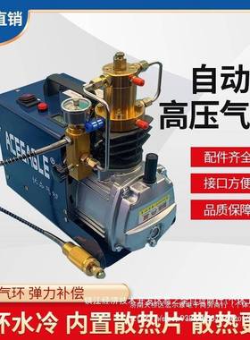 动优品高充17495压打气机30mp高压气泵40mpa小型单杠水冷电自动气