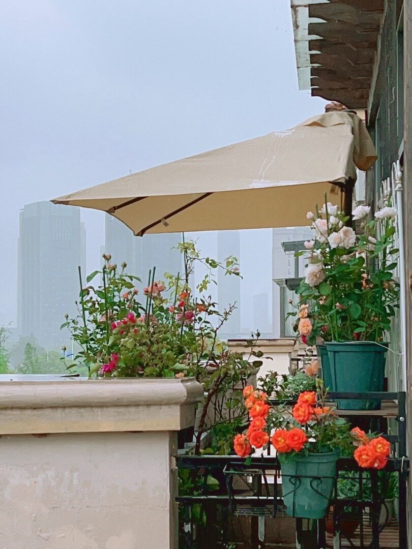 户外半边伞升降靠墙侧边长方伞庭院花园遮阳防雨伞阳台边柱伞其它