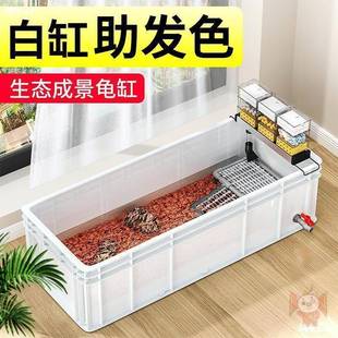 缸生态缸带饲养乌龟养AL811317殖箱周转箱排龟水大乌缸用养龟乌龟