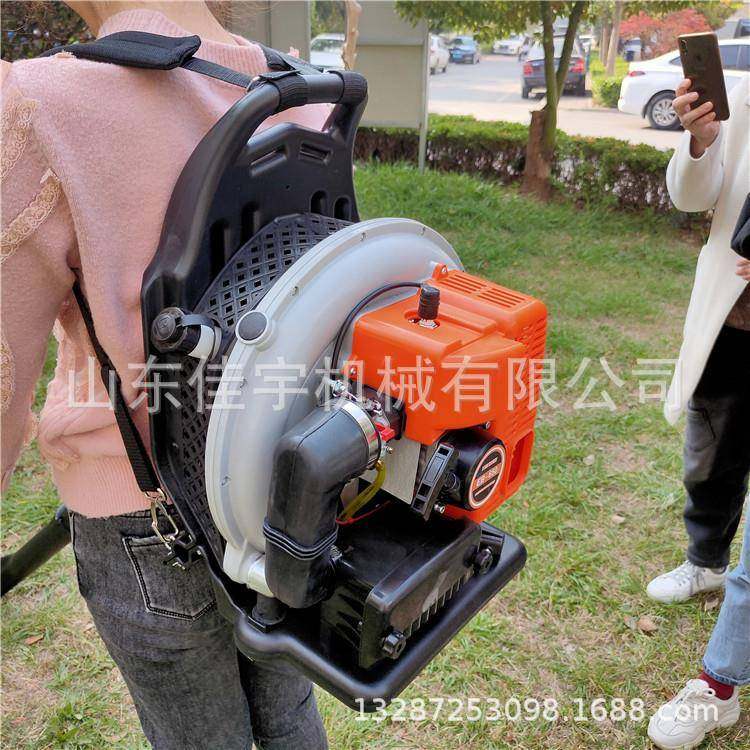背负式四冲程吹路风大机面除MYP尘机吹叶功率吹雪机,农机/农具/农膜,林业机械,淘宝优惠券,粉丝福利购,淘宝优惠卷