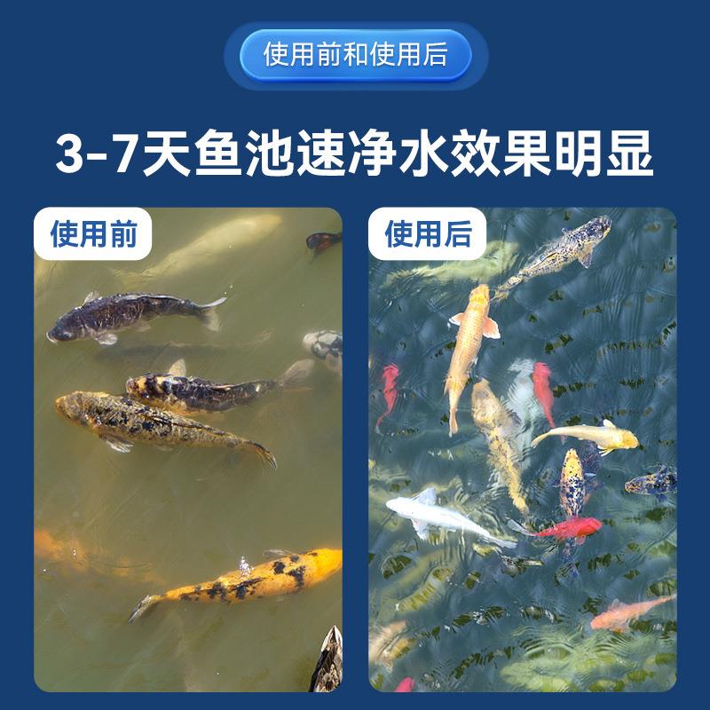 鱼池过滤水循环器系统装置不990锈钢过滤箱室水过池滤系统净化外