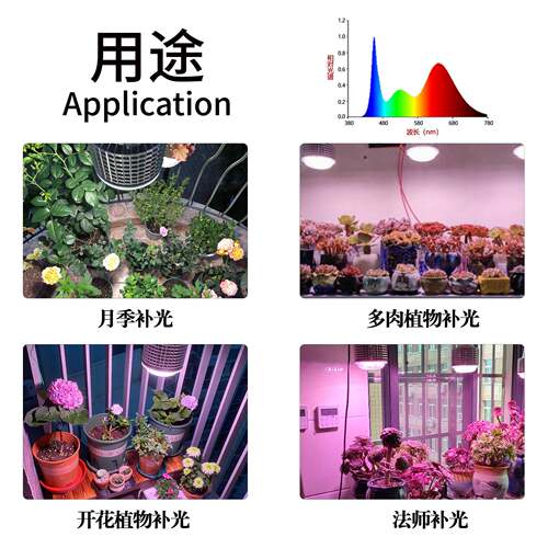 植果补光灯温室棚花卉物盆栽绿植蔬菜瓜大全光谱leRY-QP50Wd植物