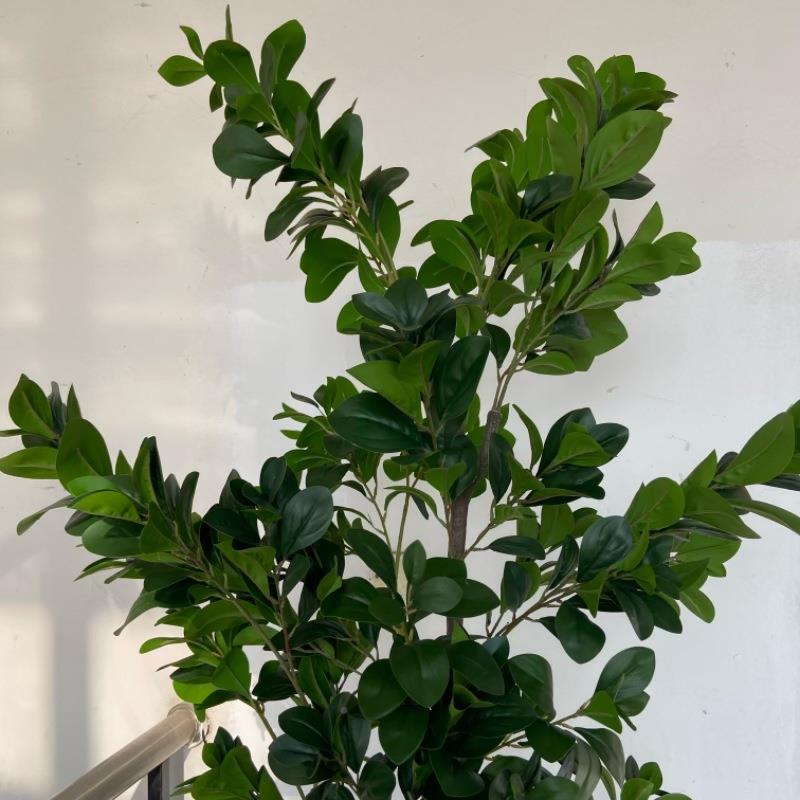 直销仿盆栽小树福米兰树榕真树702幸树落地造景拍摄道具装摆饰件