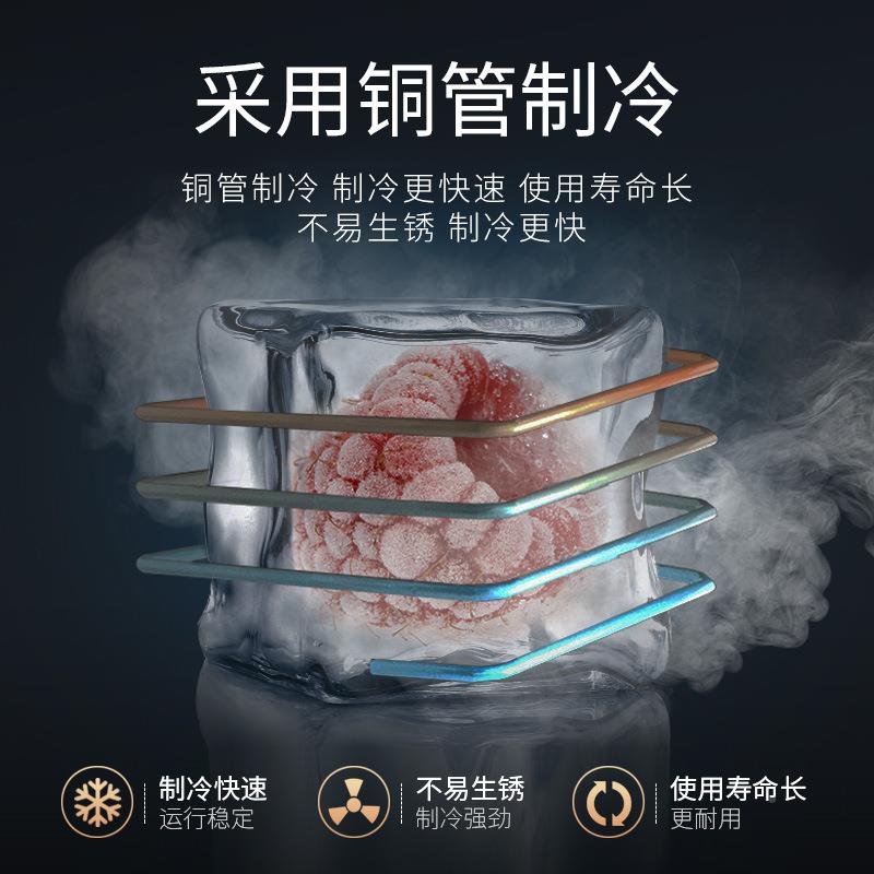 冷冰藏大展411示柜商用冰箱超市柜饮料啤酒柜门三门单双门立式柜