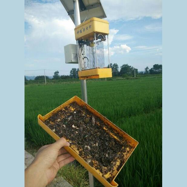 稻神捕用太农阳能杀虫灯果茶IMQ园田灭虫灯户外频振式诱蛾灭蚊园