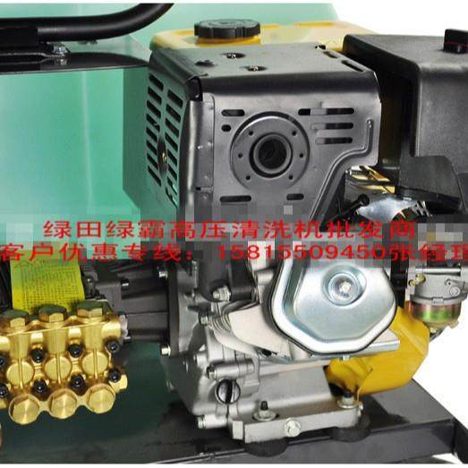 LTTNQ绿霸汽油动力高压清洗G机Z250K高压力洗车机3W-300T,鲜花速递/花卉仿真/绿植园艺,高压清洗机,淘宝优惠券,粉丝福利购,淘宝优惠卷
