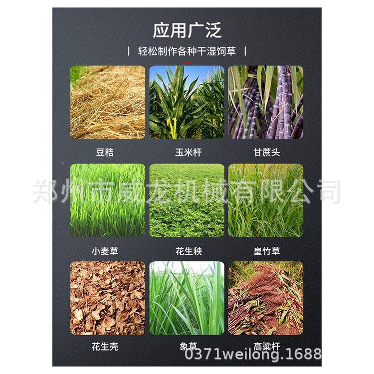 型铡草揉丝小型铡牛草机干湿两用切EQZ草机式铡揉机一体机养殖马