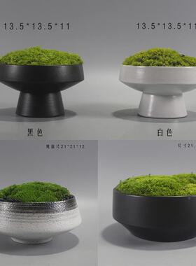 新中F759J5TT现代处永生苔装藓饰盆景微景式观样板间售楼办公室内