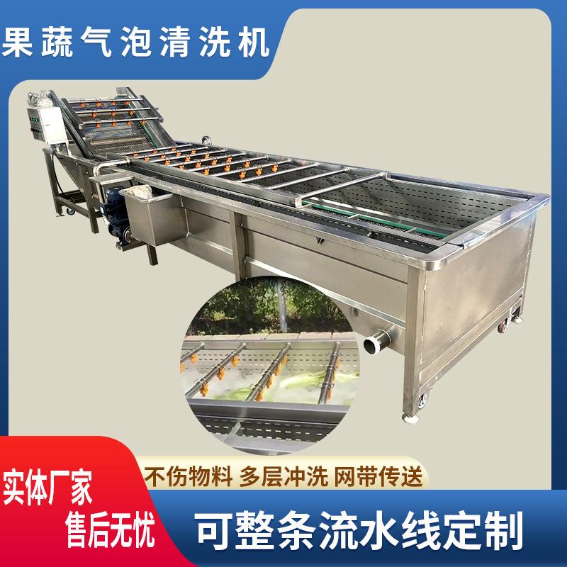 全自动去泥气泡机花生大豆玉米气泡清洗机西红柿去农药清洗机
