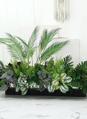 散尾葵仿真绿落地摆件假植物户真OIJ花摆仿设客厅室内外装植饰造