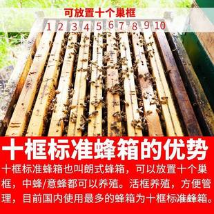 蜂箱煮蜡标蜜蜂TTU中箱蜂套标准箱烘干蜂箱准杉木蜂大哥蜂箱全包