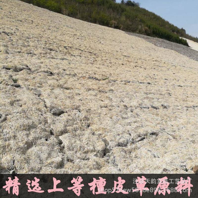 书法国画山水国展大EMT师八尺丈纸二规六三八丈宣大格加厚创作专