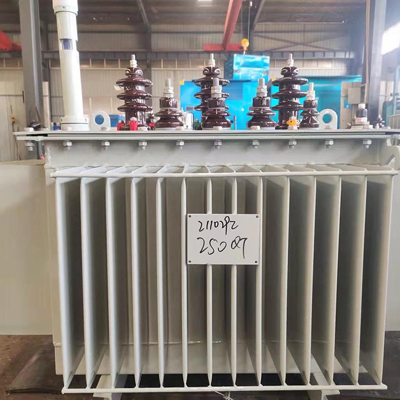 三相变压器10k电v高压工业油浸式电力力变压器S1-200-315-63S11-1