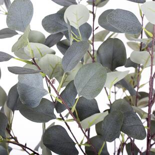 假金树室001内带盆大盆栽植物钱树家绿居公仿真花橱窗真植尤加办