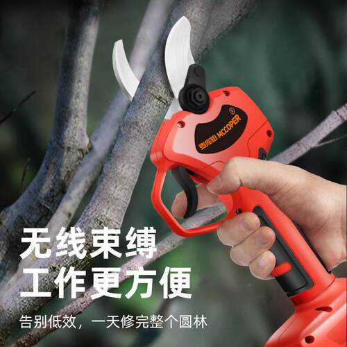 行选树粗枝树电动修枝剪家用园林花IDB园家锂电剪充果电式多功能
