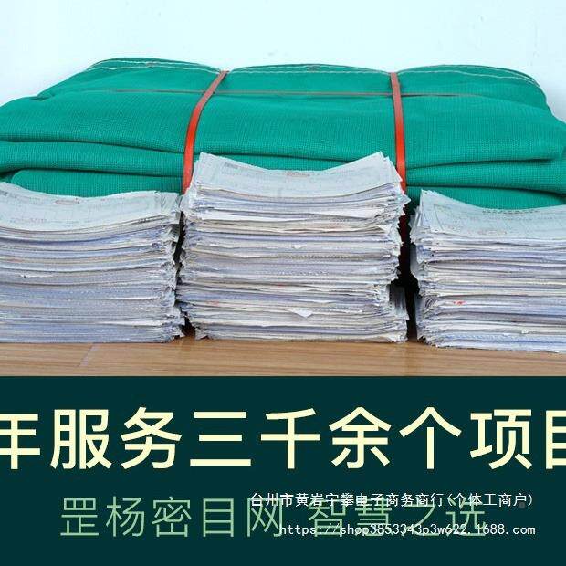 建筑安全网阻燃密目网网防坠尘盖土网工程工防地NRS网施工绿化防
