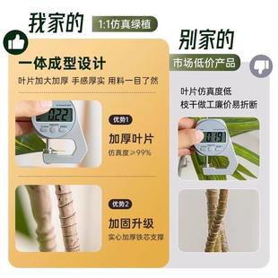 木仿真绿植高端轻饰奢巴西室内客厅833装 落地栽摆件仿生假植物盆