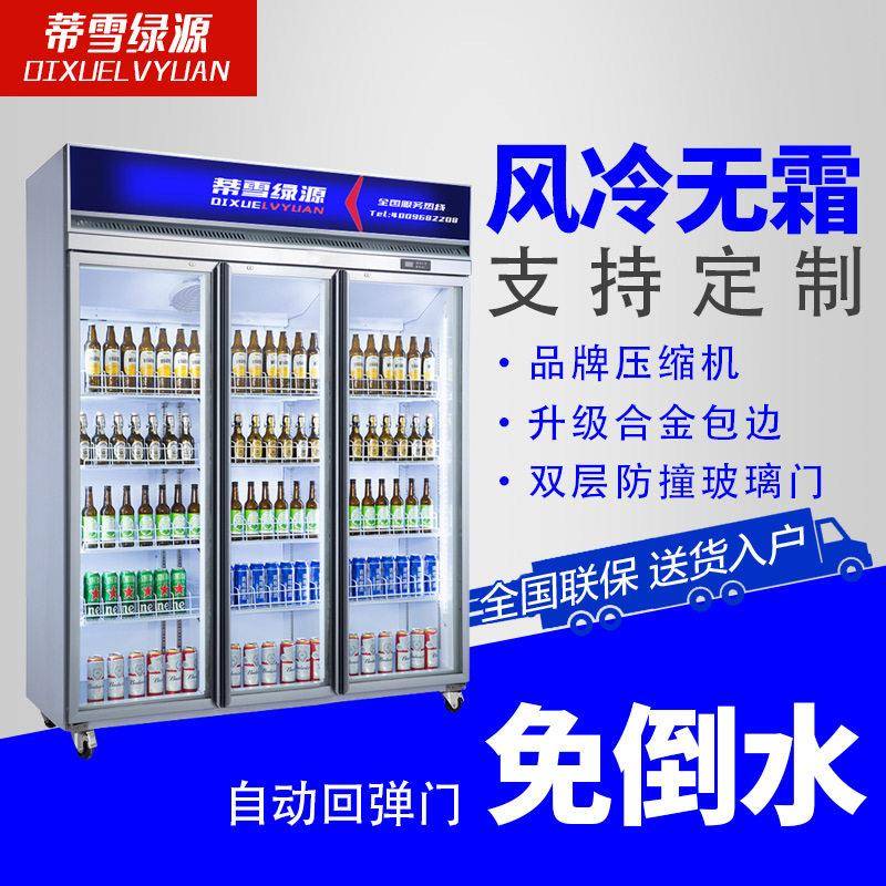 双门啤酒饮料柜跨境直供压1UBR10冷V冰冰柜水果立式藏展示电柜柜