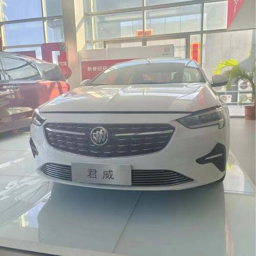 别克君威前脸中网外观改装专用防虫网装饰条汽车防护用品配件镀铬