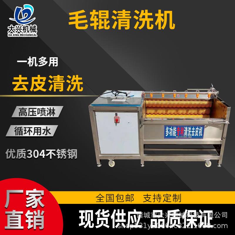 苦藠毛刷清洗机多功能喷淋式毛辊清洗机设备苦茭清洗加工流水线