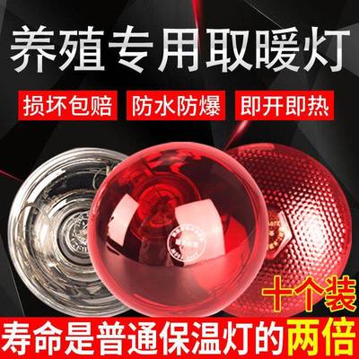 红外线保暖灯仔猪红外线灯泡取暖灯畜牧保温灯泡养殖场专用保暖灯