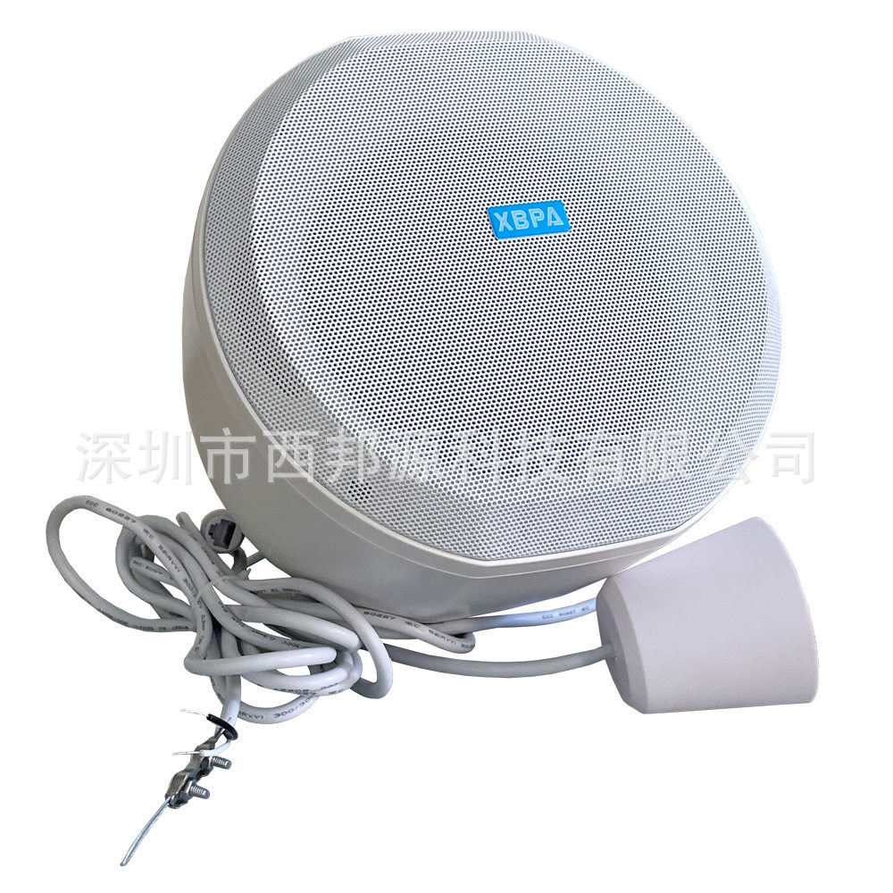 XBPA悬挂式球形扬声器|吊球吸顶扬声器|同轴IP吊球吸顶喇叭音响