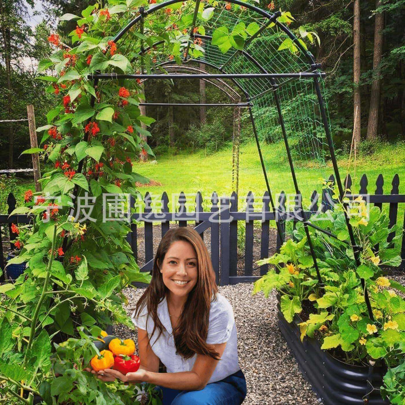 菜园南瓜攀爬架子园艺支架爬藤植物藤架黄瓜丝瓜园种植架子爬藤架