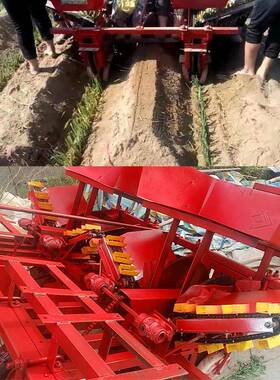 凯佳东北黑龙江大葱定植栽葱机农用葱苗种植机红葱栽种机