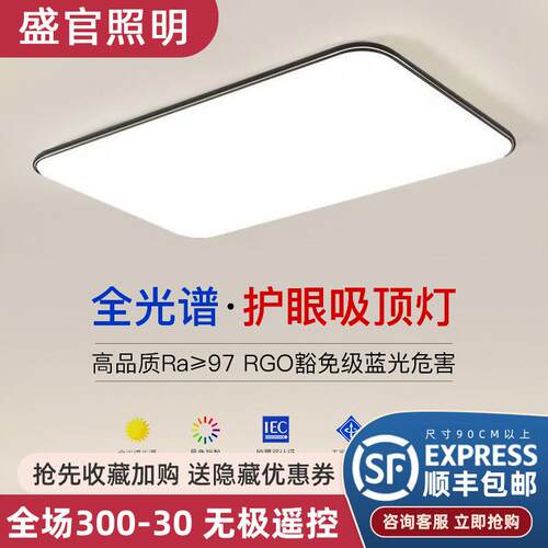 LED现代吸顶灯简约长方形吸顶灯卧室客厅灯具 中山新款灯具智能调