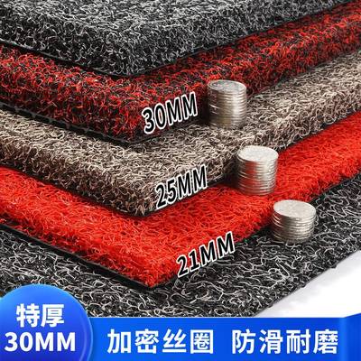 门口进门脚垫高级感加厚丝圈垫子防滑可裁剪门外地垫入户蹭土门垫