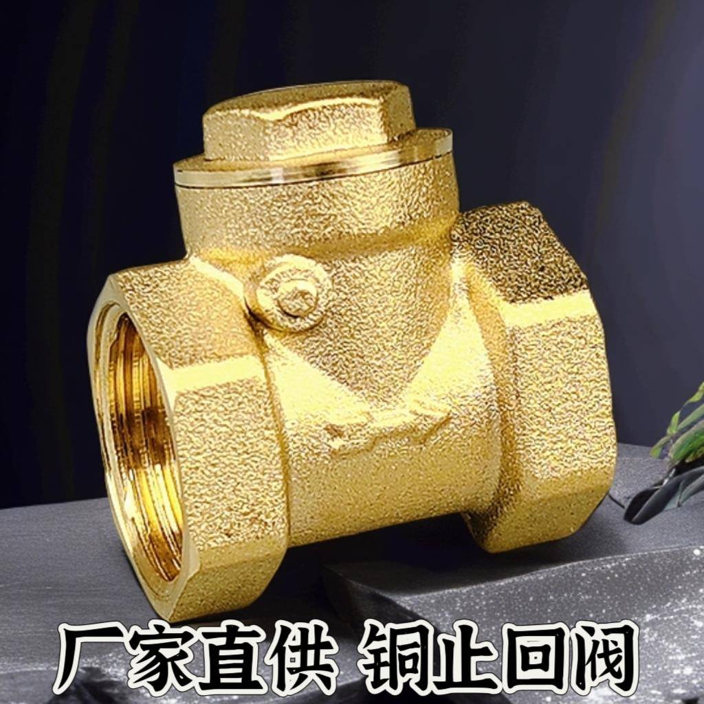 全铜止回阀铜卧式4分6分1寸水泵DN15水管20单向阀25阀门32 40 50