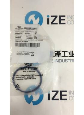 TG4100700-T40N密封BUSAK+SHAMBAN(B+S)爱泽工业供应