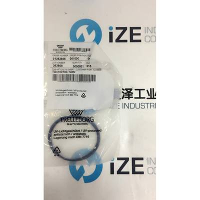 TG4100700-T40N密封BUSAK+SHAMBAN(B+S)爱泽工业供应