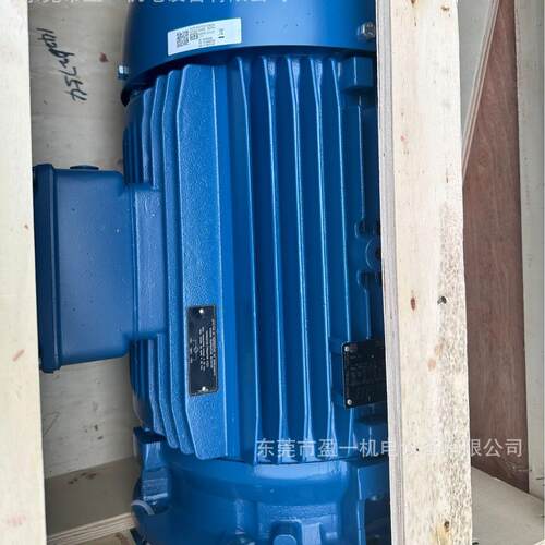 WEG 三相异步电动机15kw 20hp380v-660v 50/60hz IP55 B5立式