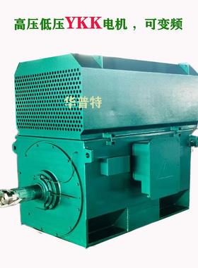 出口朝鲜欧美10kv山东华普特YKK高压电动机355kwIP55315kw
