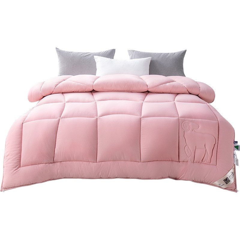 远梦澳洲羊毛双层暖冬被被芯家用被子暖冬被羊毛被冬天2米被子