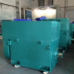 10KV 鸿泰鼠笼型高压三相异步电机 560KW 启动性能优良 YKK400